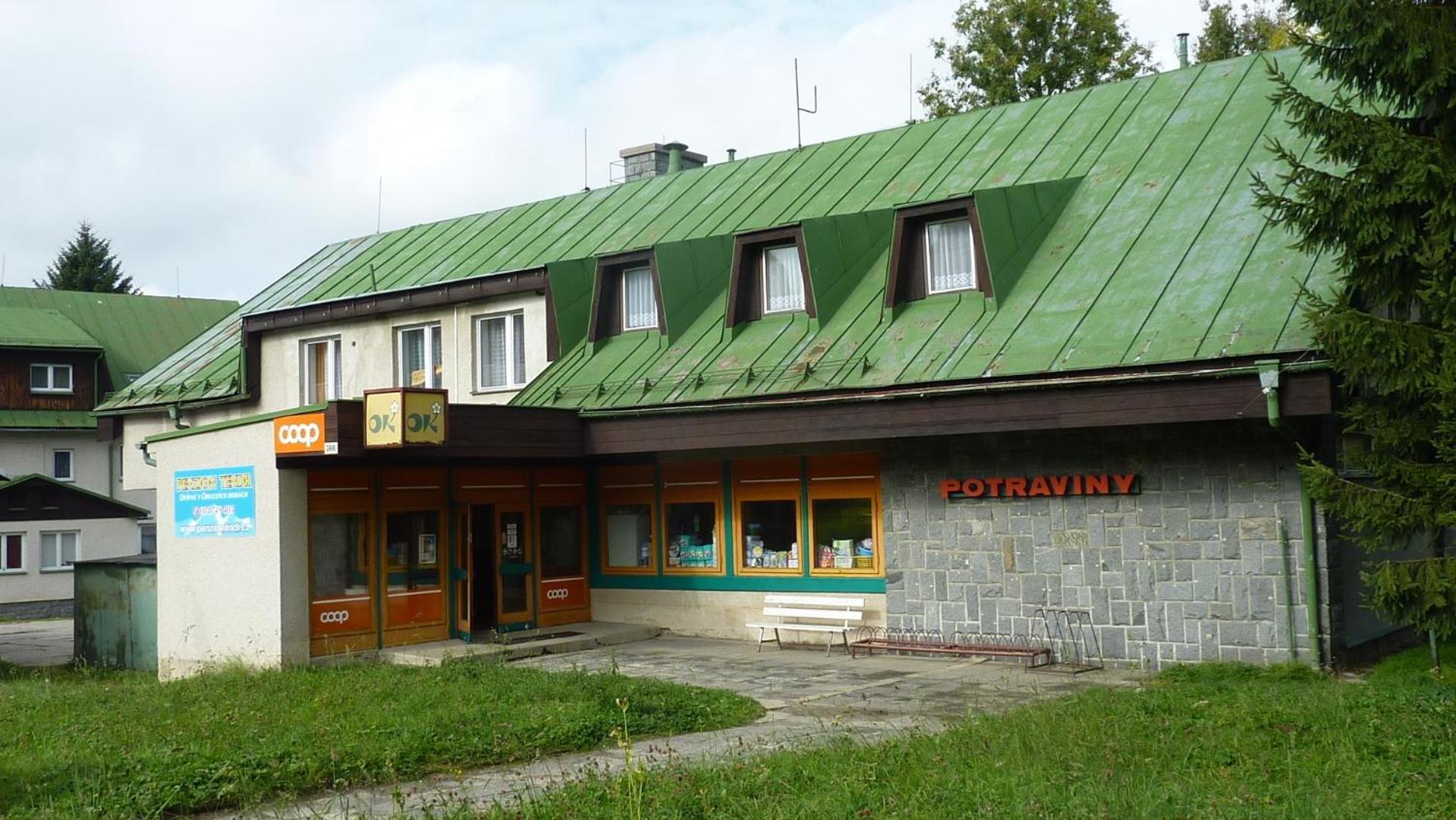 Penzion Tendr Destne v Orlickych horach Buitenkant foto